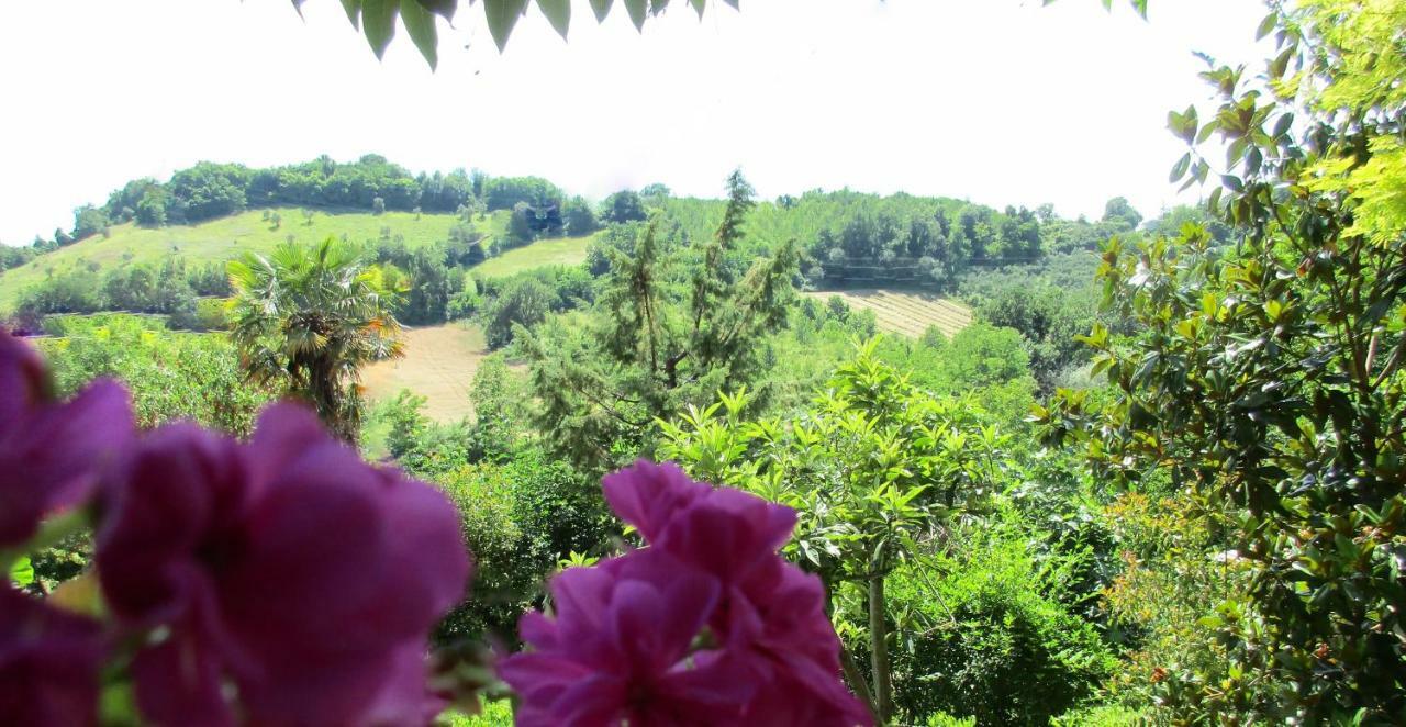 B&B Carboni Penna San Giovanni Exterior photo