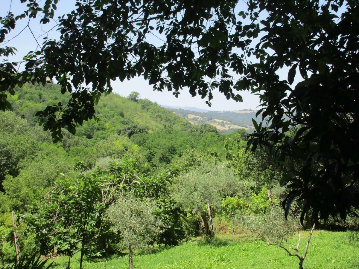 B&B Carboni Penna San Giovanni Exterior photo