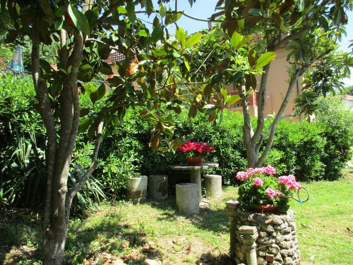 B&B Carboni Penna San Giovanni Exterior photo